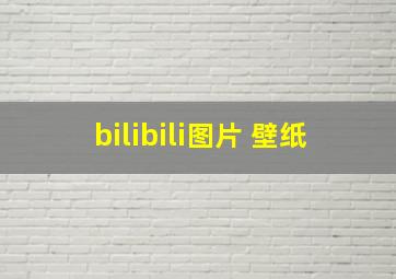 bilibili图片 壁纸